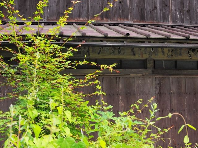 宮崎で建物解体・空き家解体をするならお早めに!空き家を放置するデメリットを紹介
